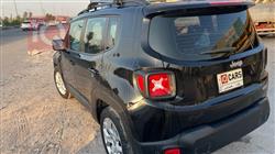 جيب رينيجيد